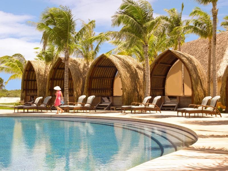 Tropical Elegance