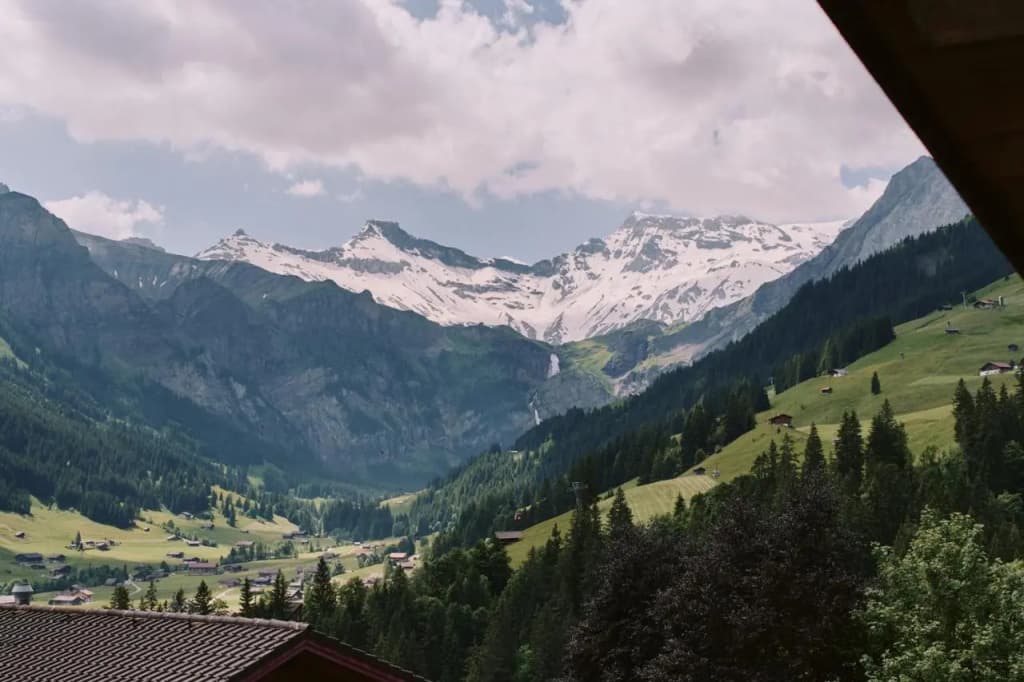 Mountain Morning Views