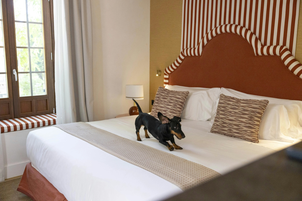 guest_rooms