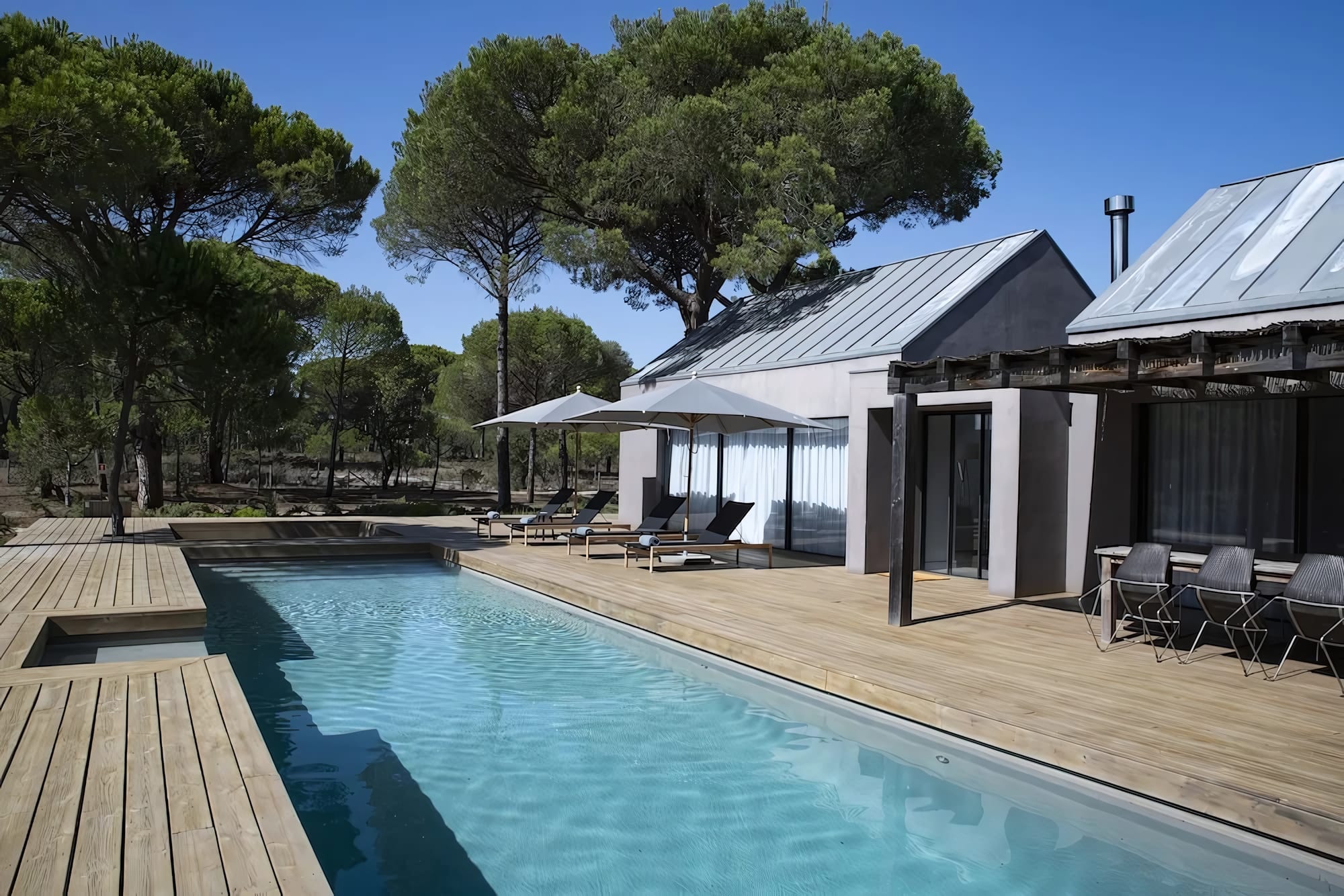 Pool Amid the Pines