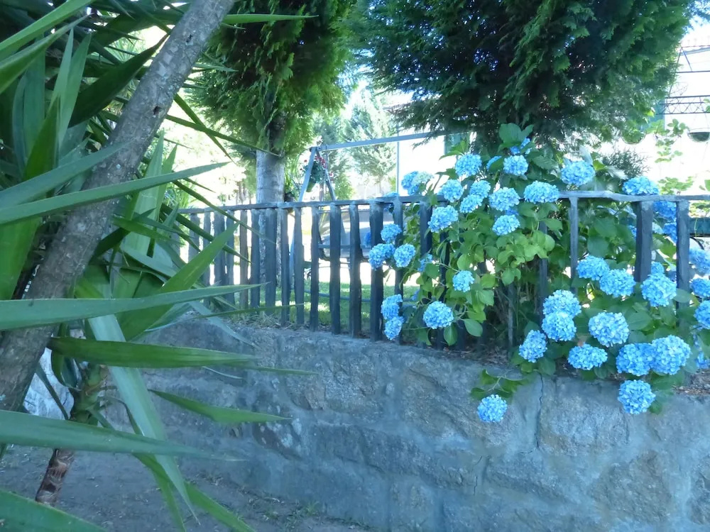 outside
