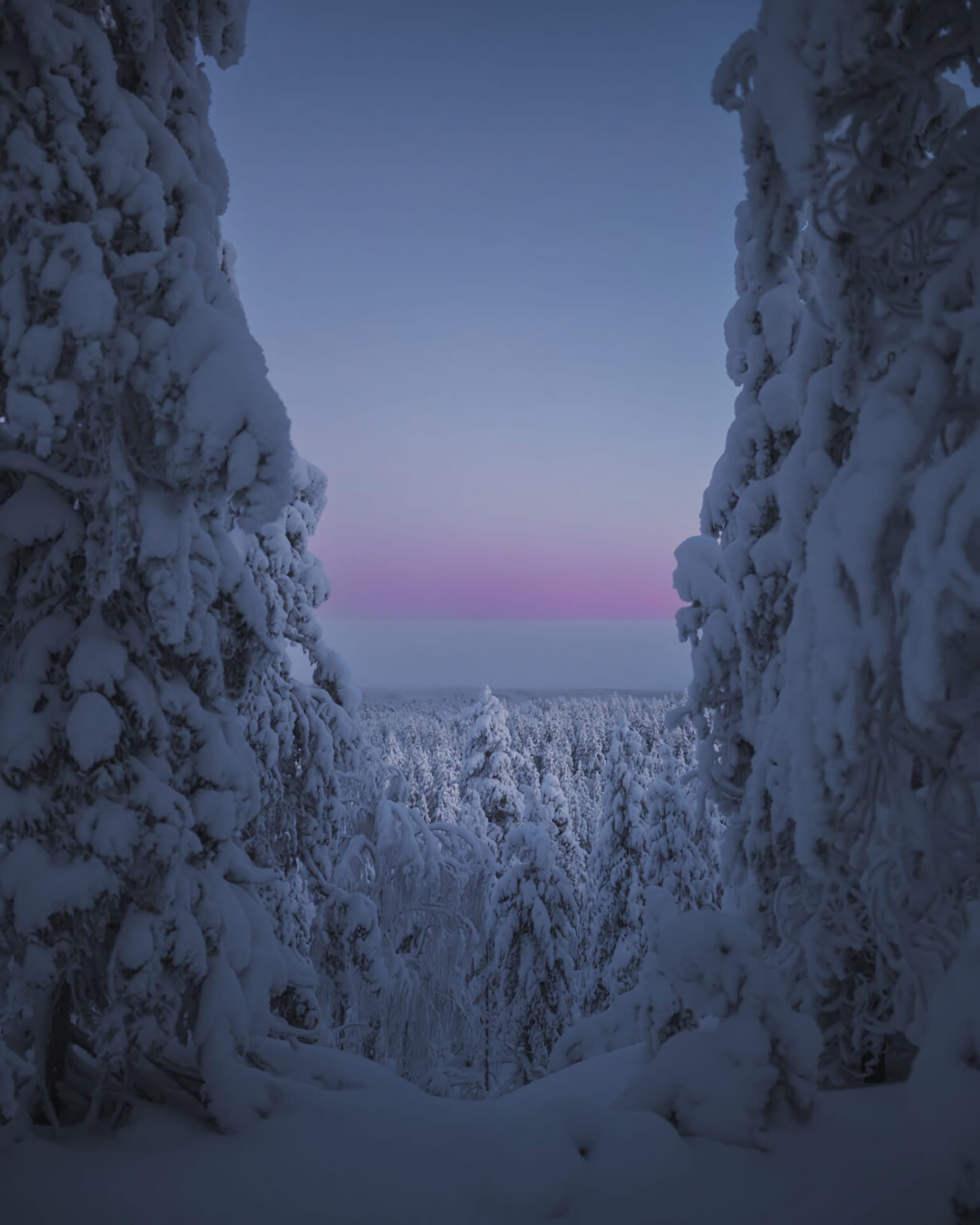 Arctic Air, Pure and Profound