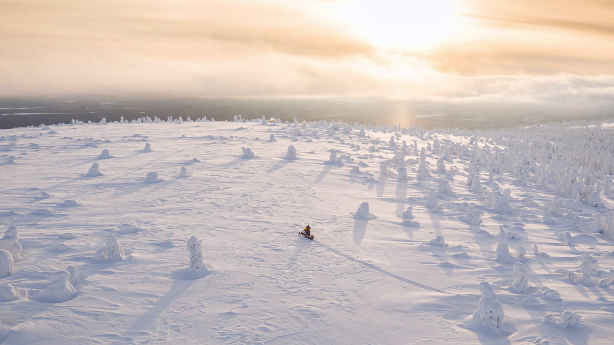 Snowmobile Journeys Through the Wilderness