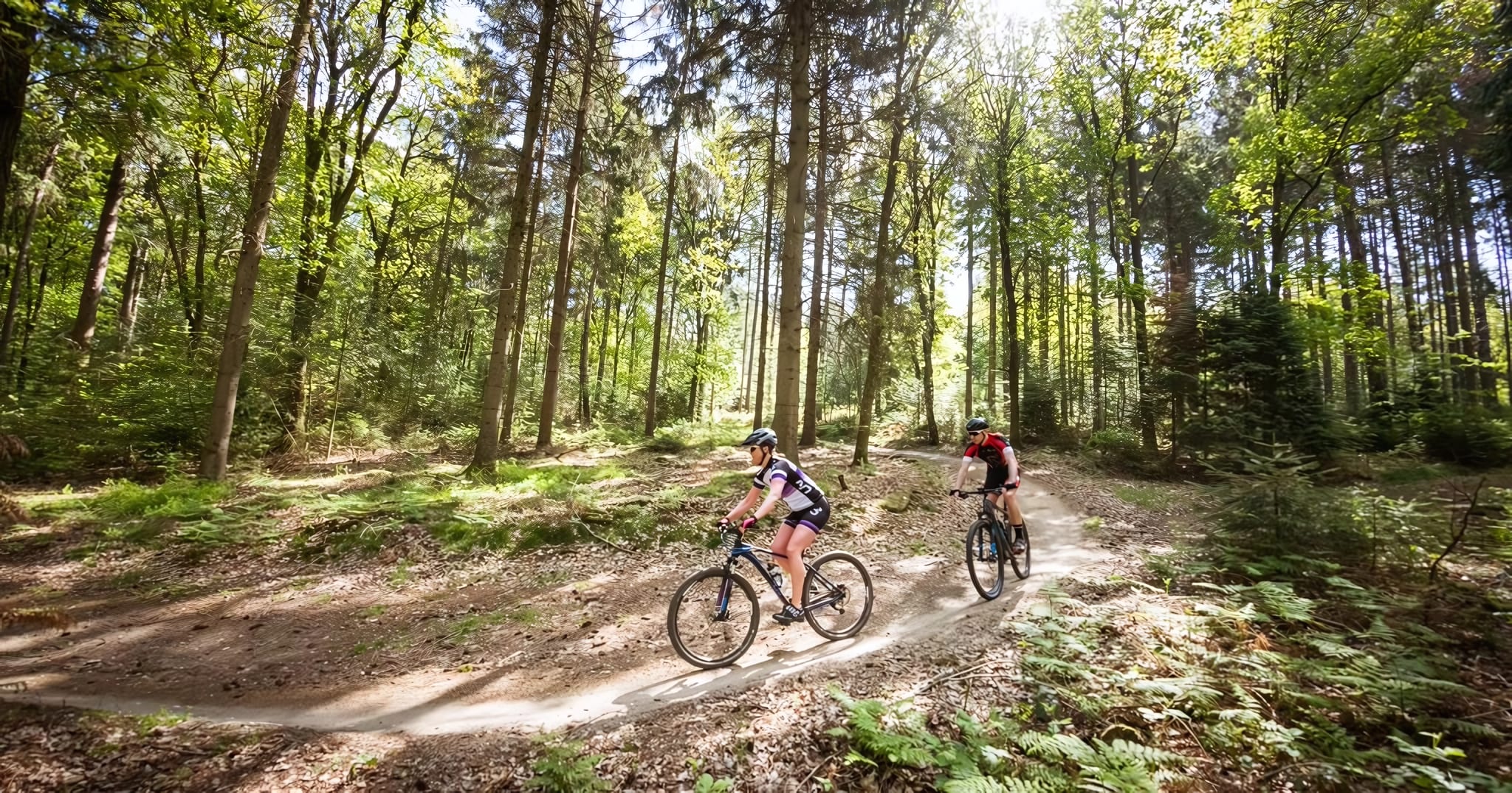 Cycling Straight into the Achterhoek Countryside