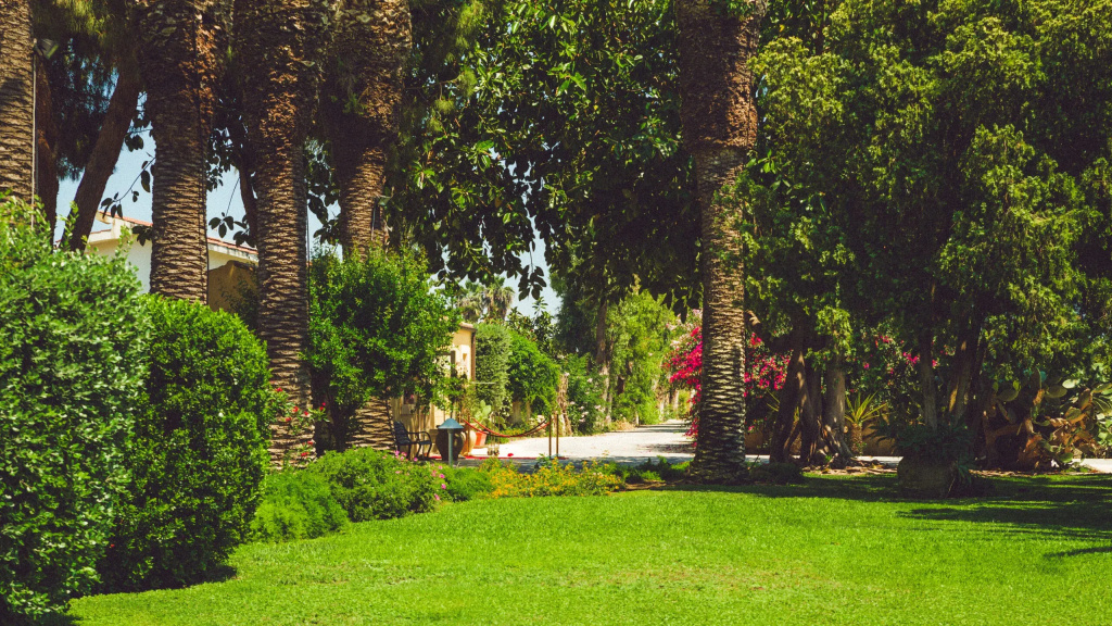 outside