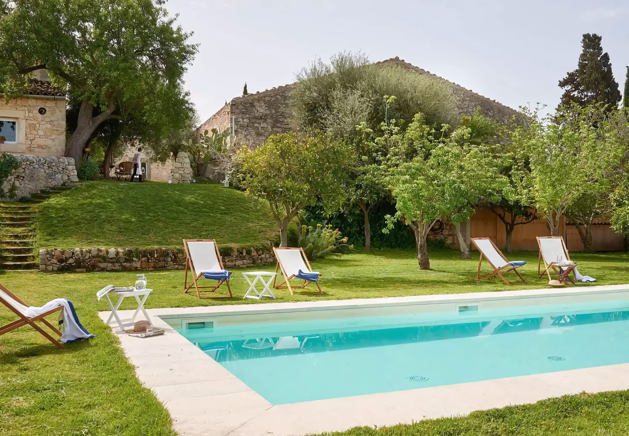 A Pool Nestled Among Olive Trees