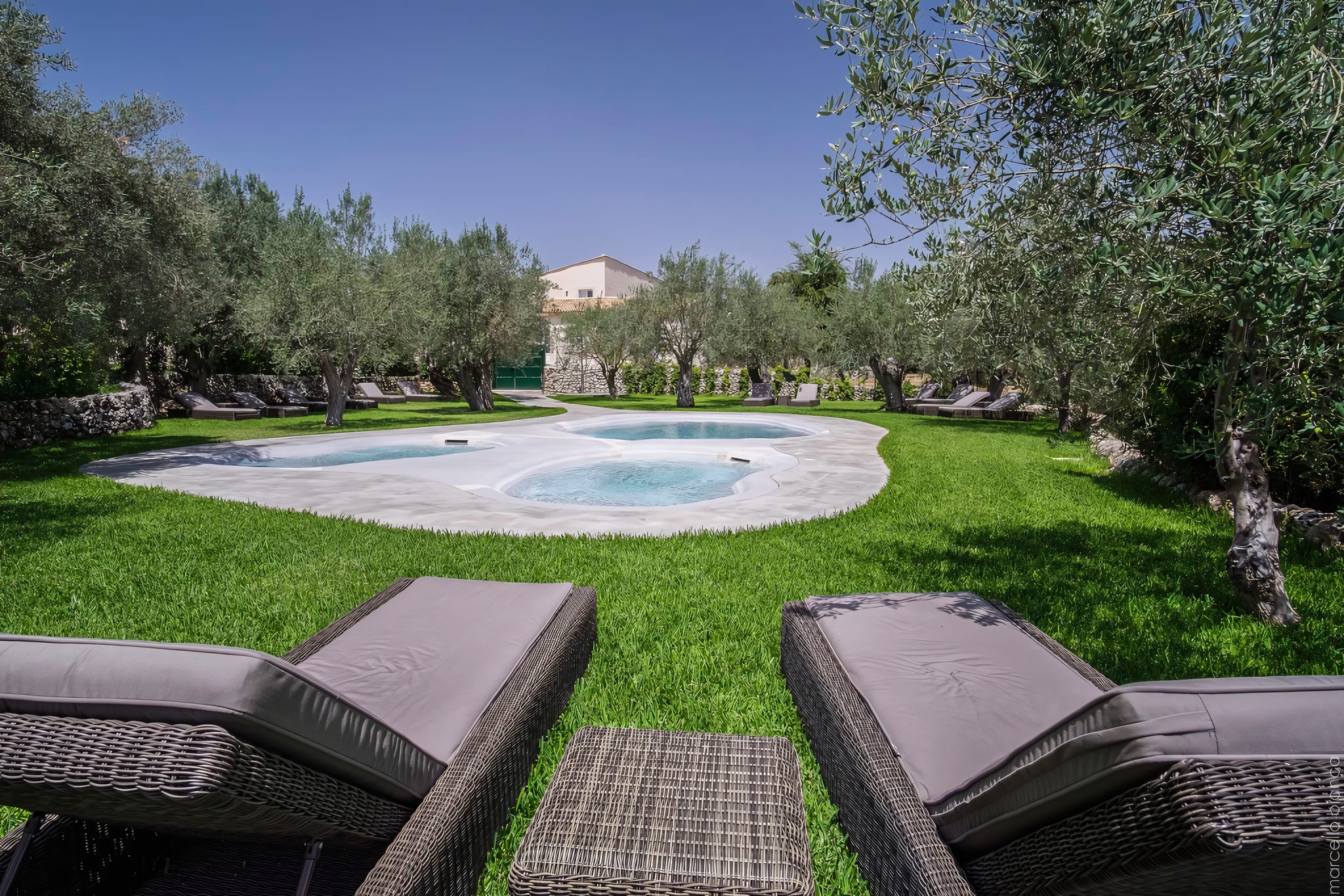 A Pool Ringed by Olive and Carob Trees