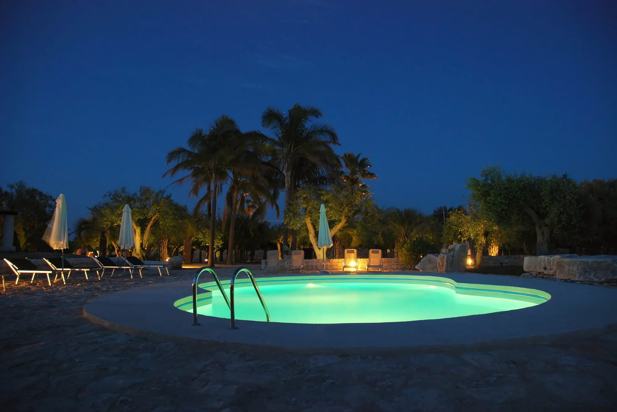 Pool & Palm-Framed Garden