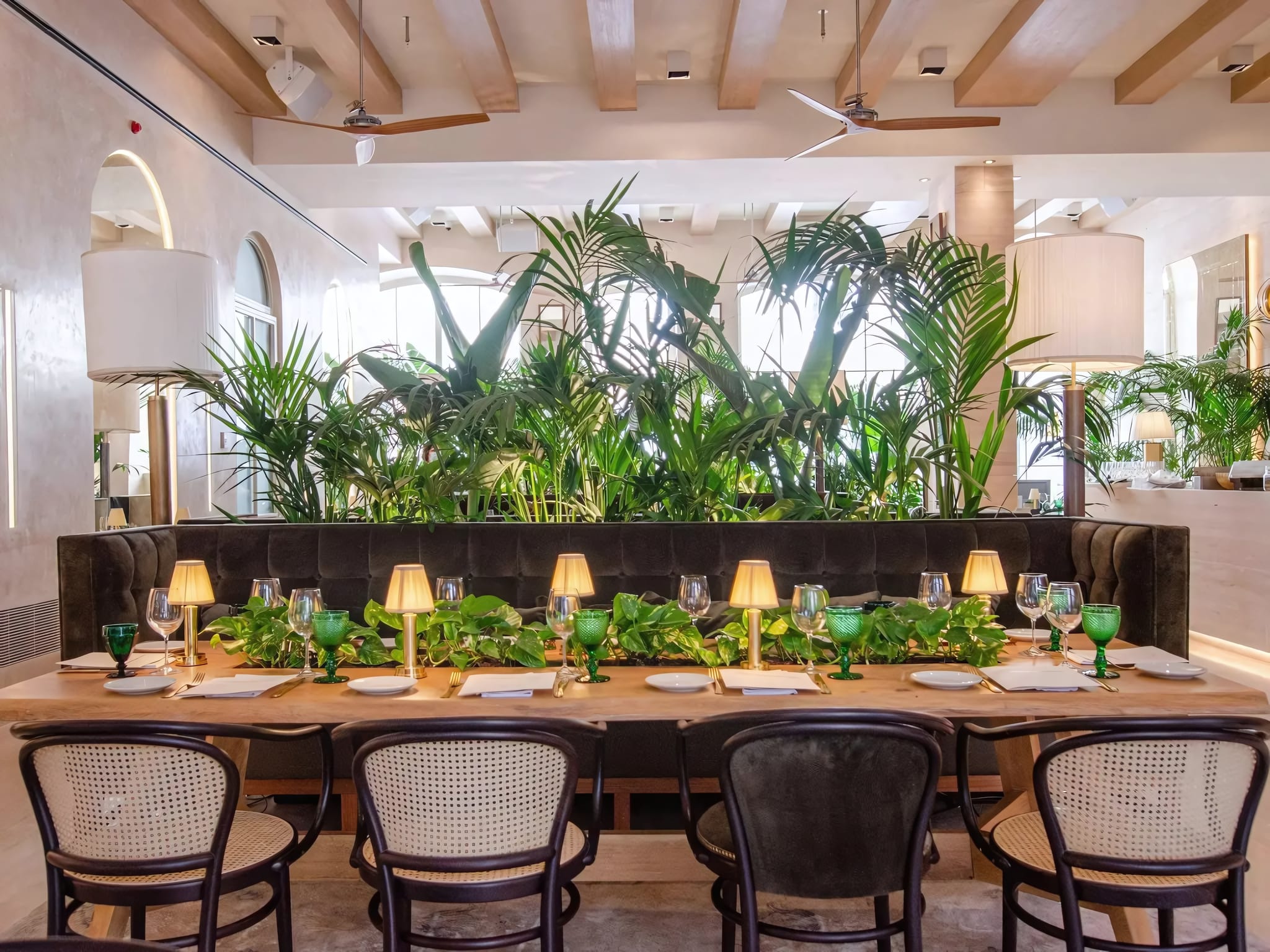 Mediterranean Flavours at Avenida