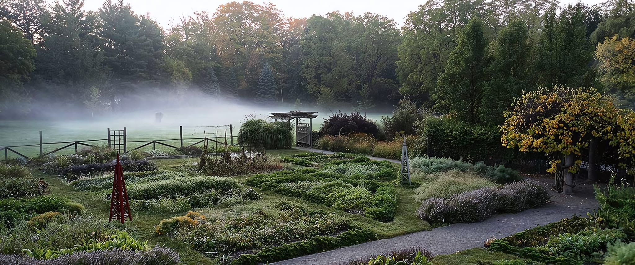 Gardens Designed by an Olmsted