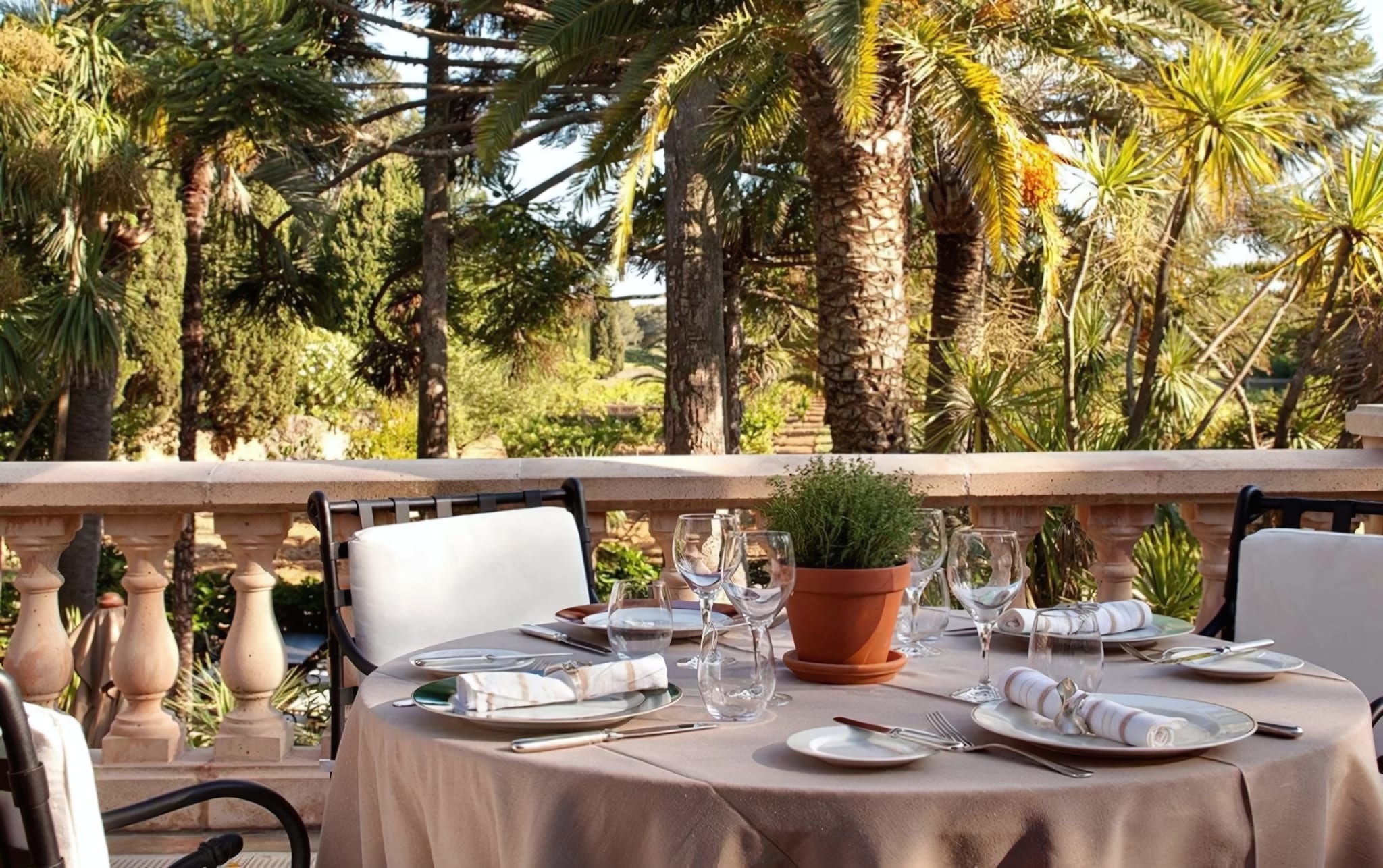 A Michelin Star Beneath the Palm Grove