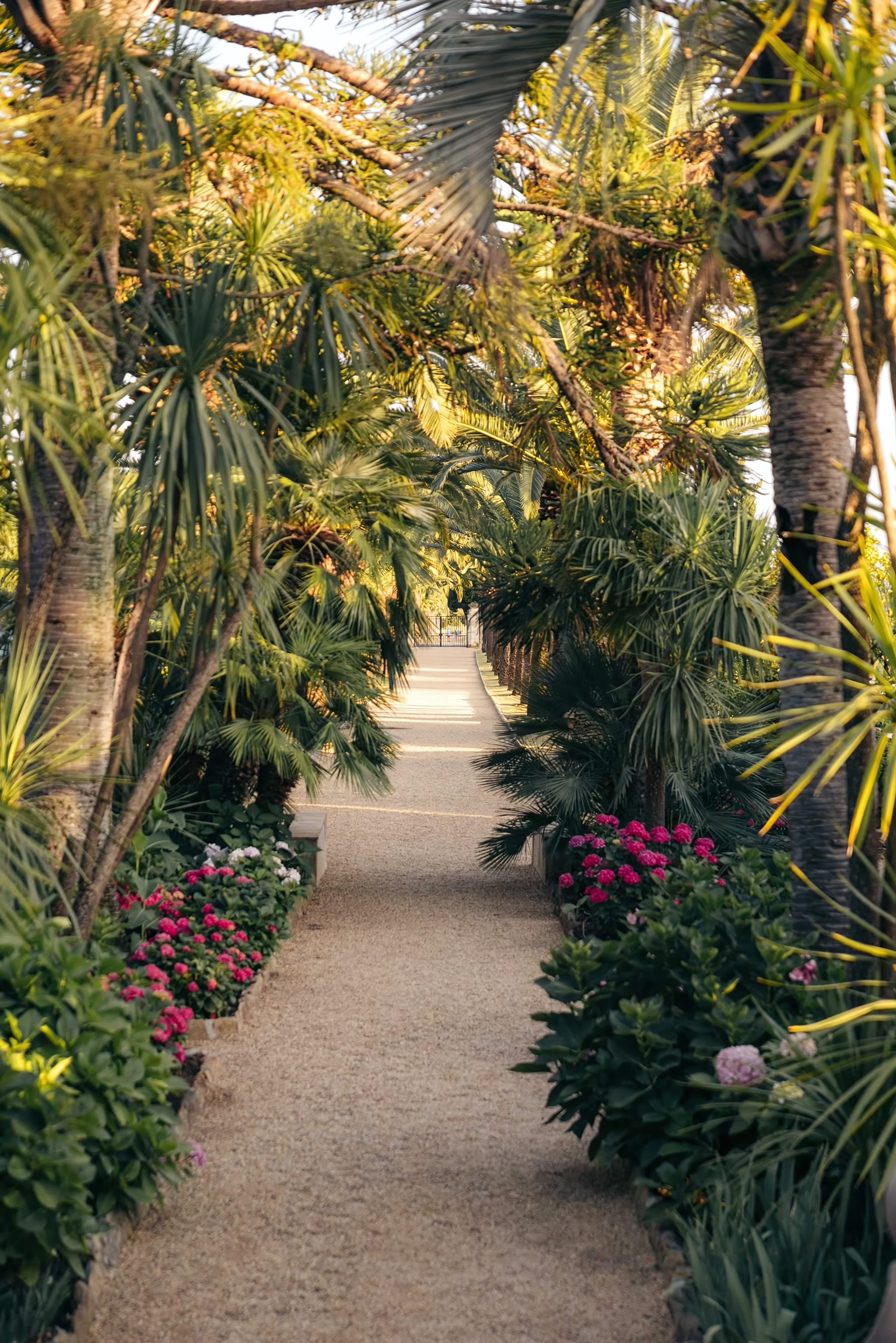 A Century-Old Palm Grove Estate