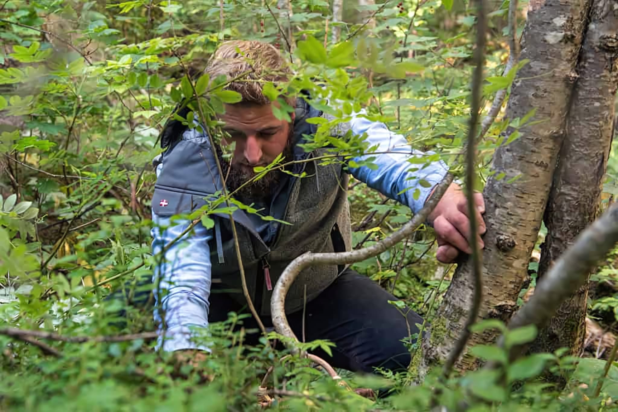 Ursus: a Michelin-starred forest of a restaurant