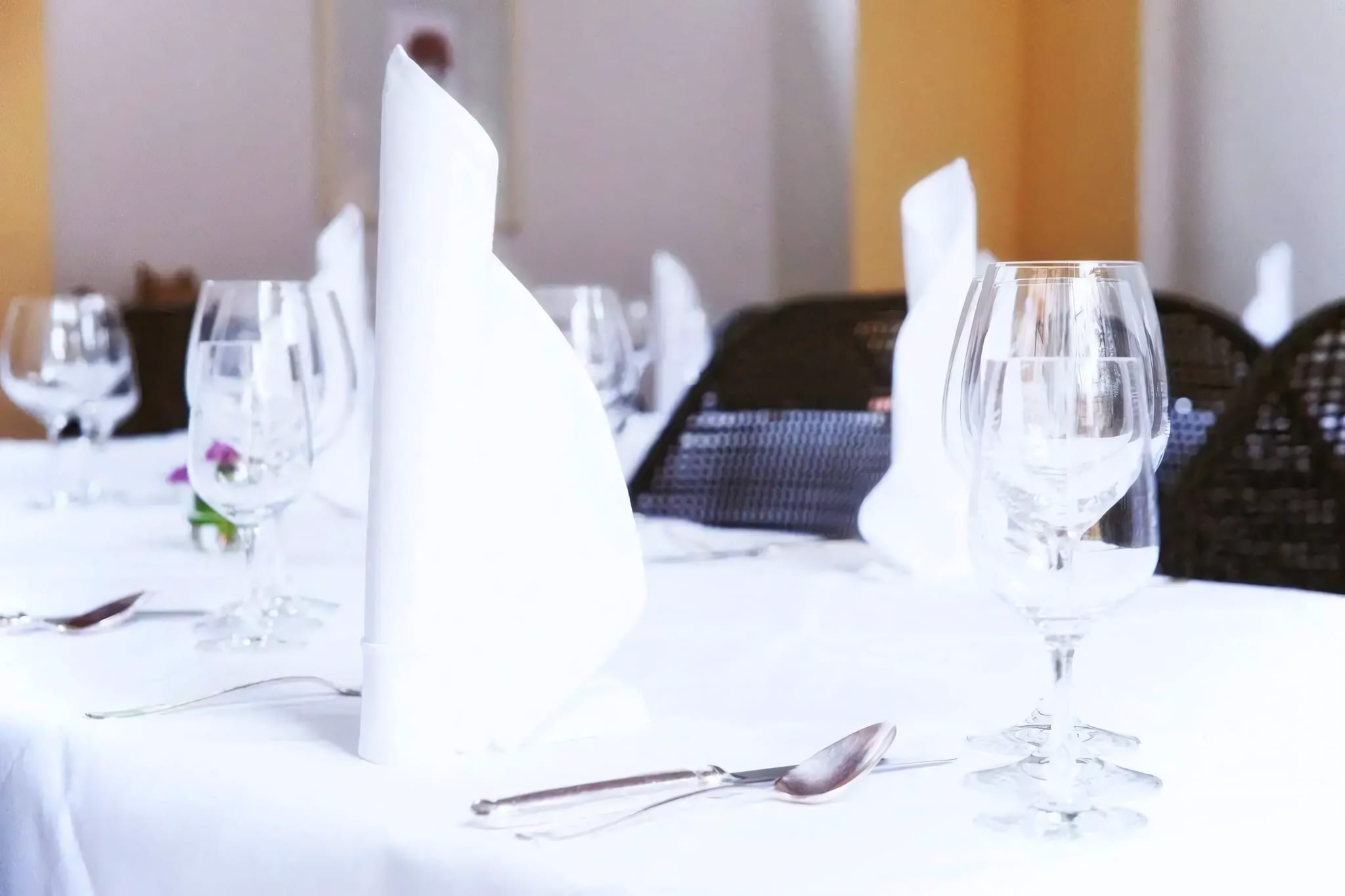 Michelin-Starred Dining at Atelier Sanssouci