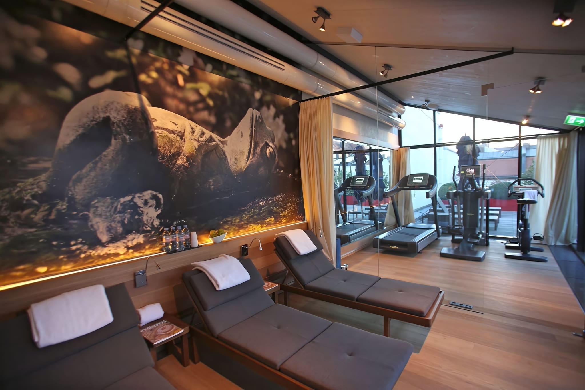 Rooftop Wellness Retreat