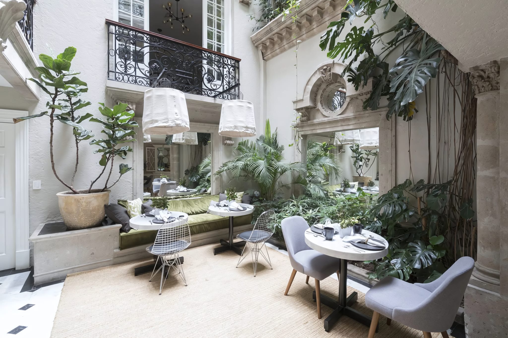 Coffee and Calm at Nima Café