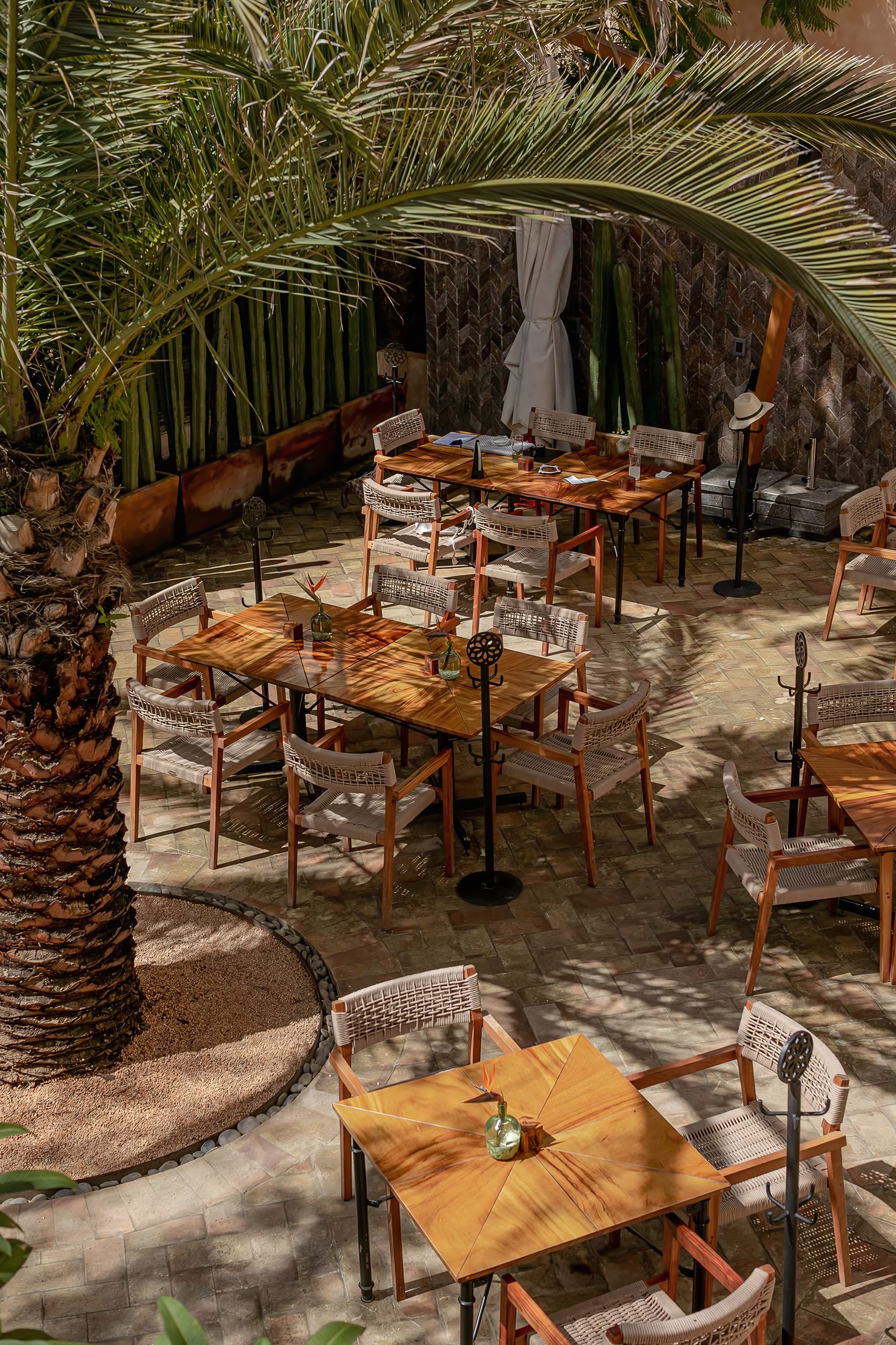 Entre Sombras: Mediterranean flavors under Oaxacan skies