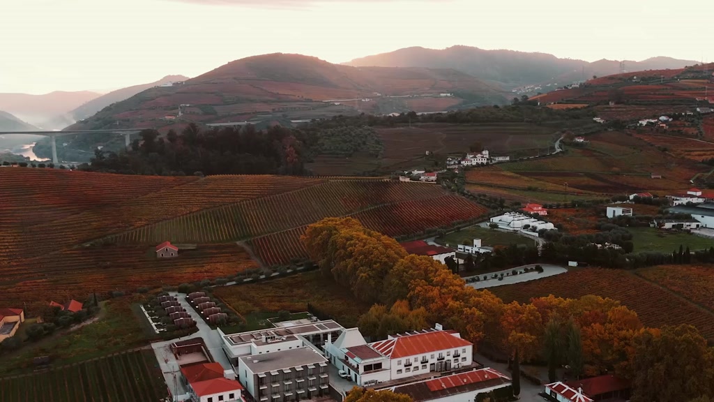 The Wine House Hotel - Quinta da Pacheca