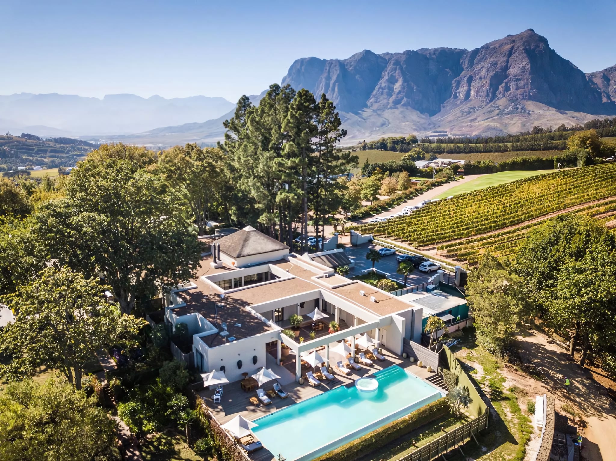 A Living Gallery in the Winelands