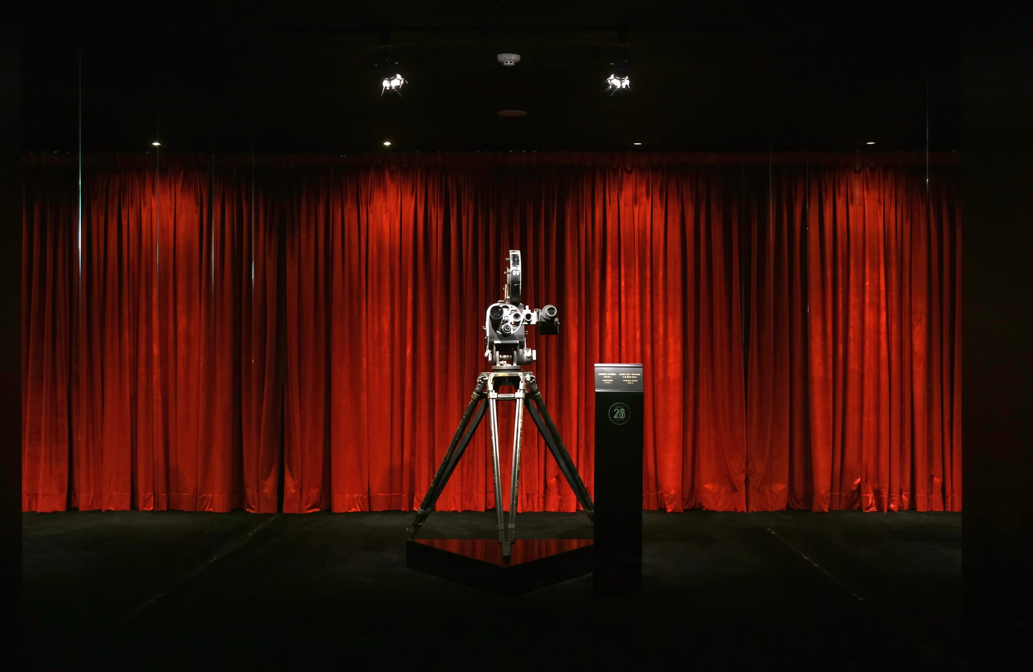 Film-Inspired Artwork on Every Floor