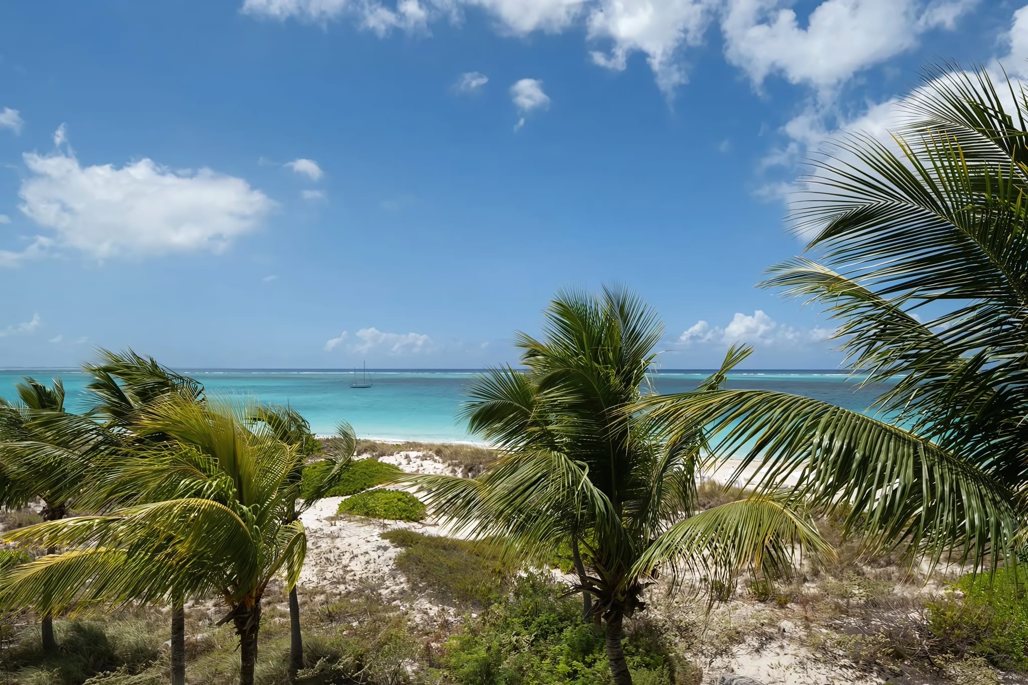 Oceanfront Suites Facing Grace Bay
