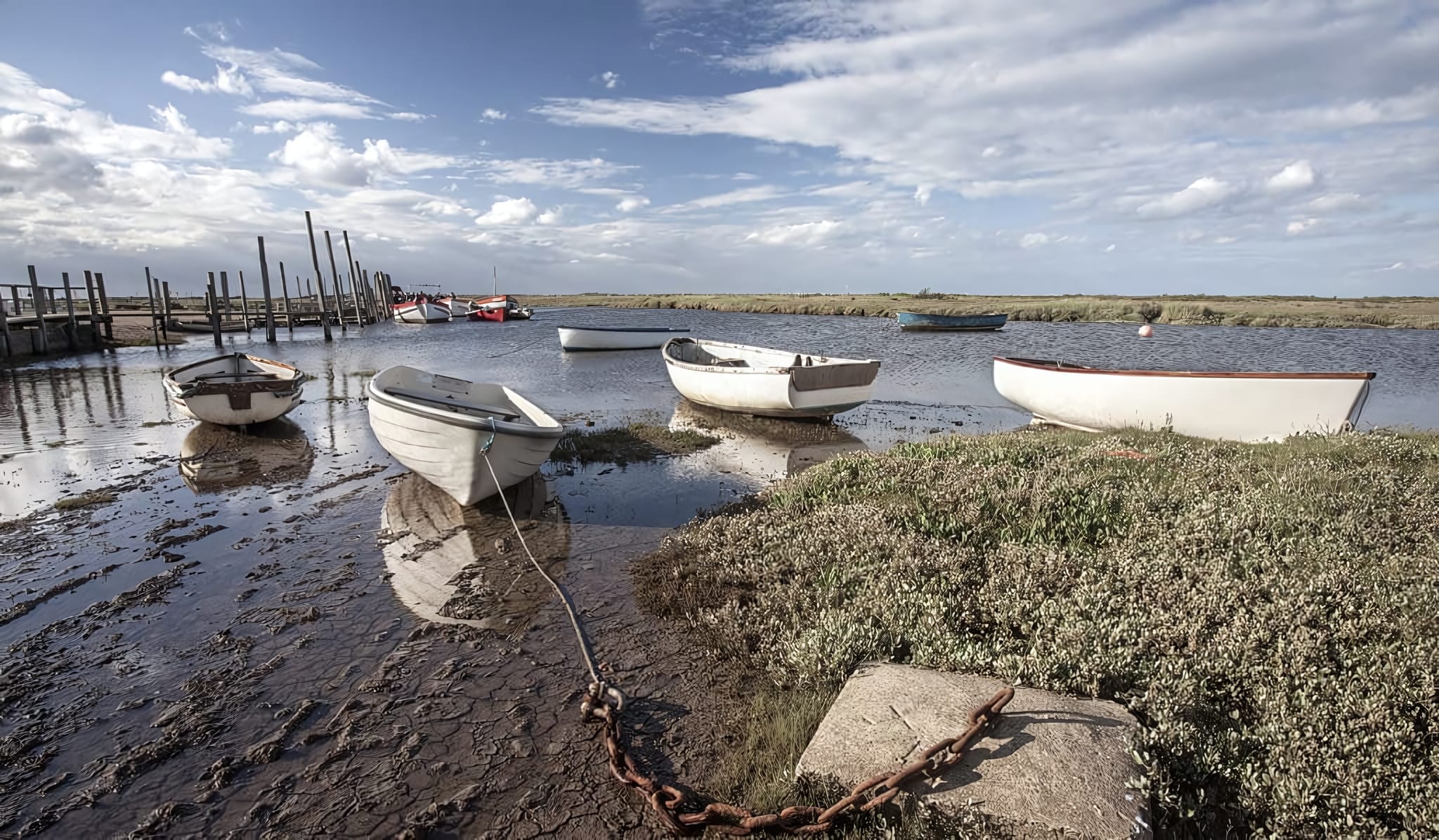 Seal Spotting from Morston Quay
