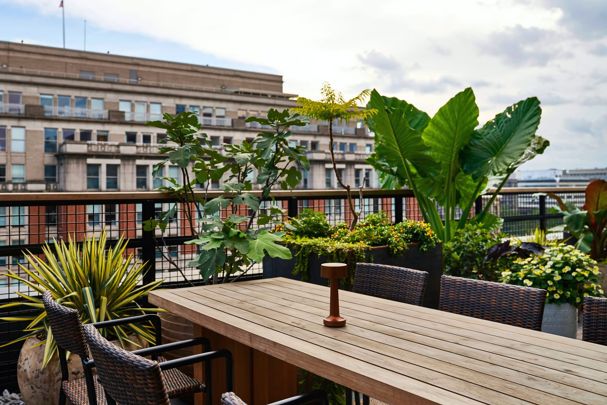 Rooftop Bar with DC Skyline Views