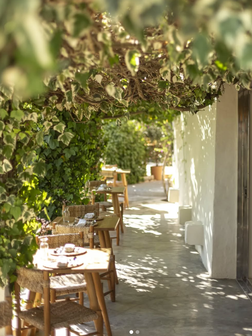 Boutique Hotel Jardines de Palerm
