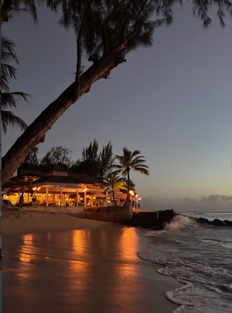 Coral Reef Club