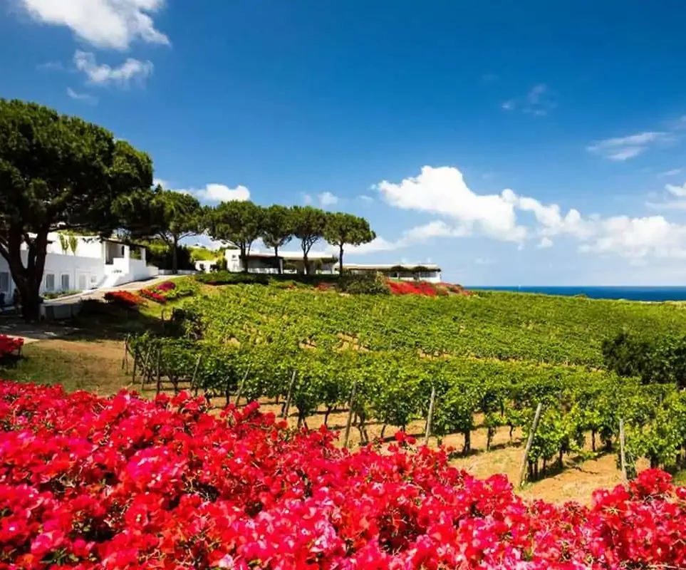 Winery Setting