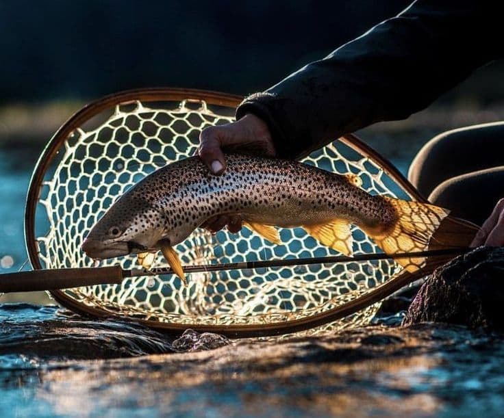 Private trout fishing on the Derwent