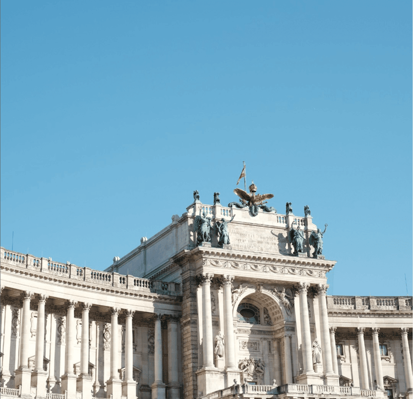 The Amauris Vienna images