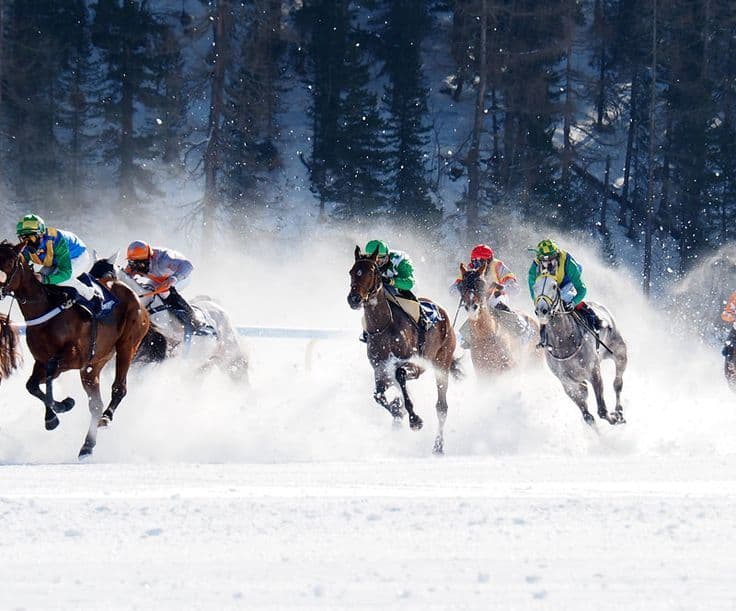 White Turf if the timing works 