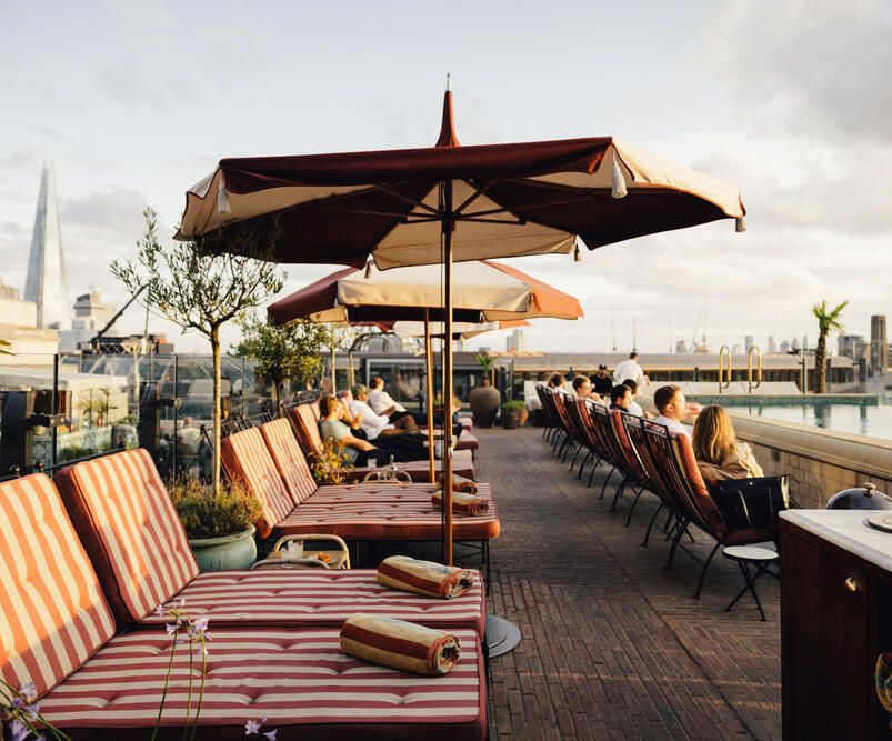 Relaxing on the Rooftop
