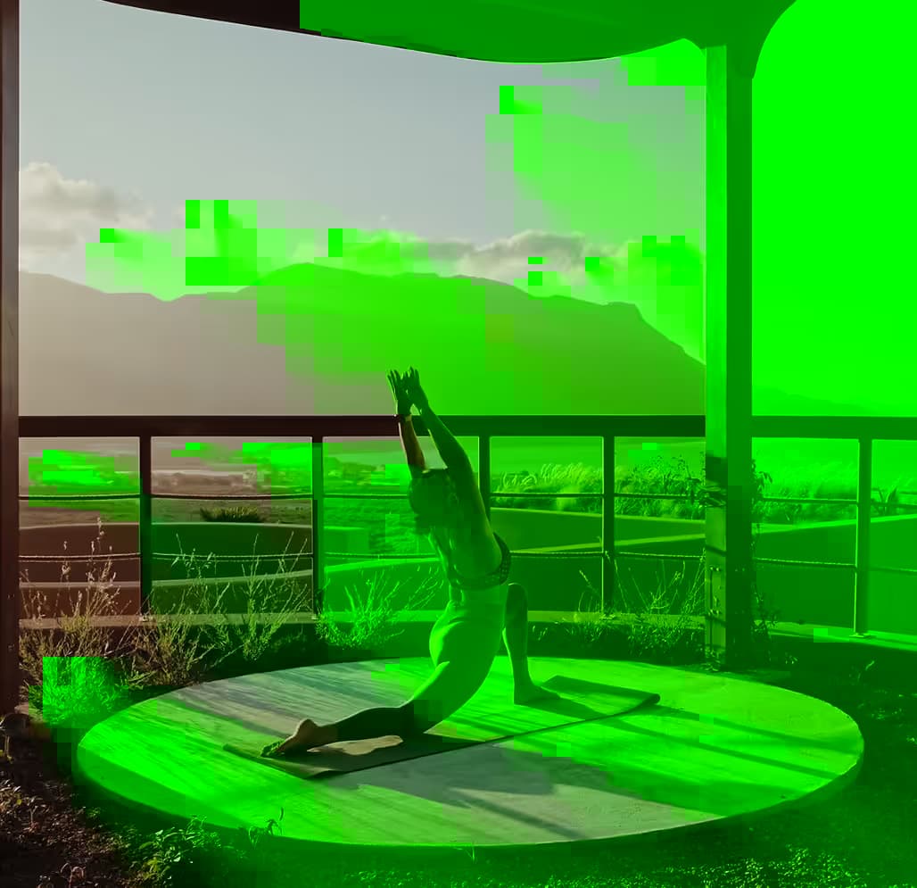 Dawn on the terrace