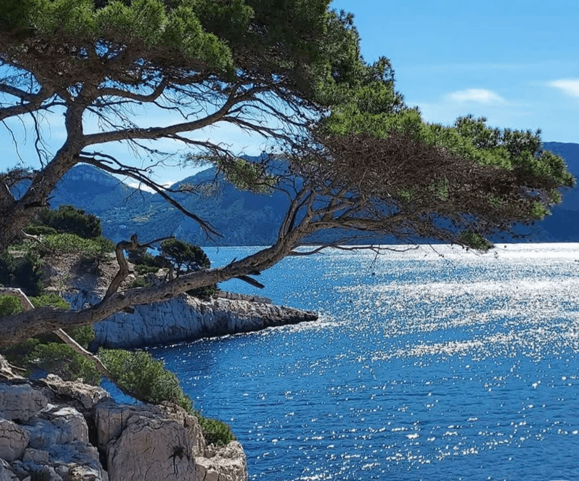 Nature Paradise 