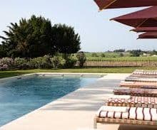 Poolside Afternoon