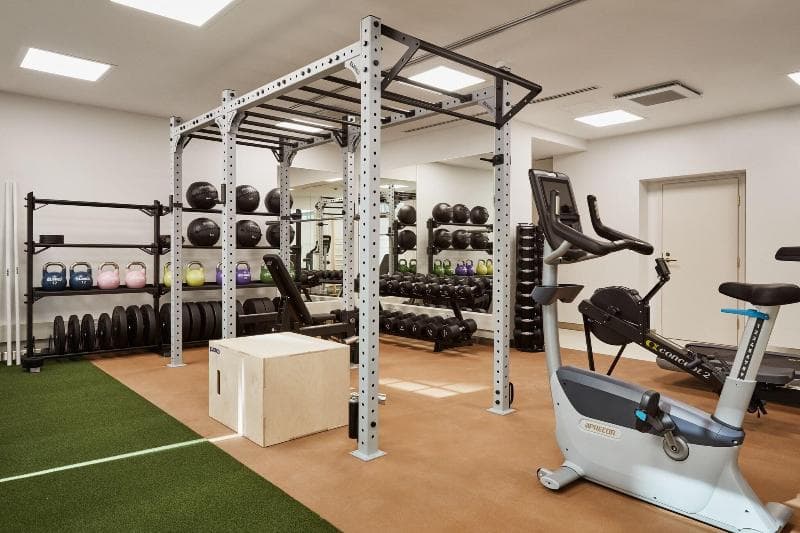 Wellness Focus