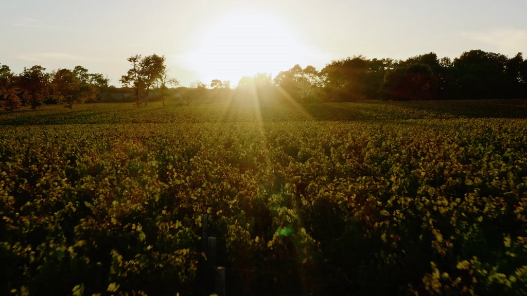 Les Sources de Caudalie