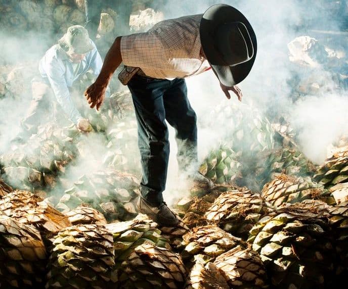 Mezcal Masters
